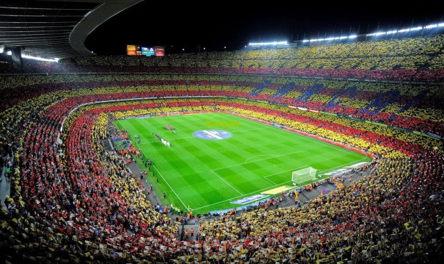 kaiyun网页版_小土豆跨界拳坛引热议 感恩节首战成体坛焦点